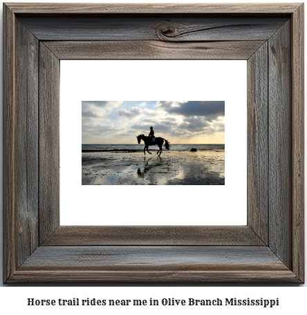 horse trail rides near me in Olive Branch, Mississippi